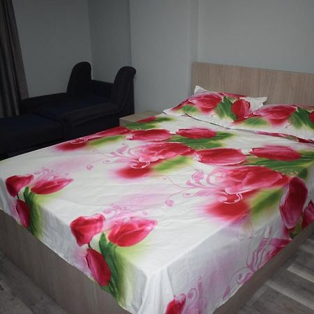 Apartament Parc Central Rhbm Baia Mare Exterior foto