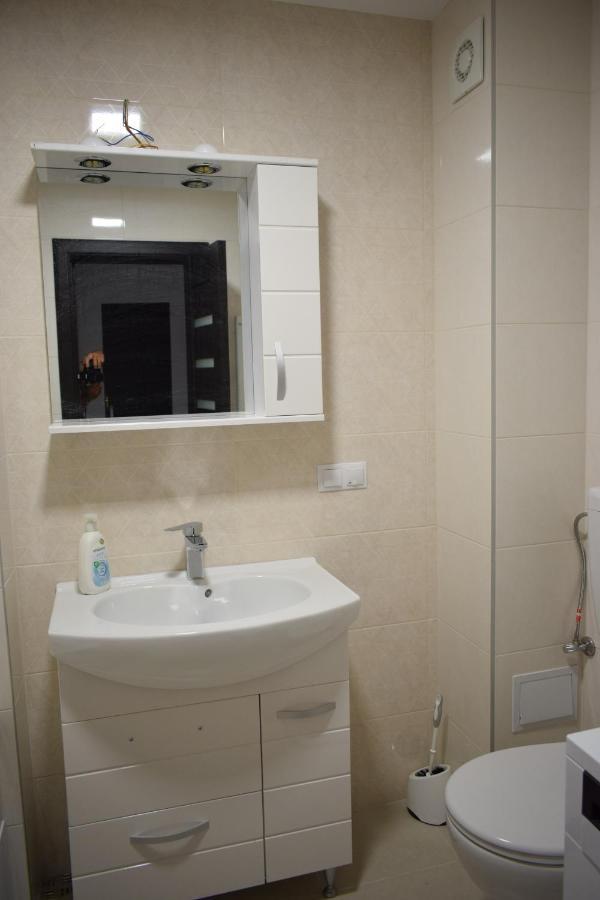 Apartament Parc Central Rhbm Baia Mare Exterior foto
