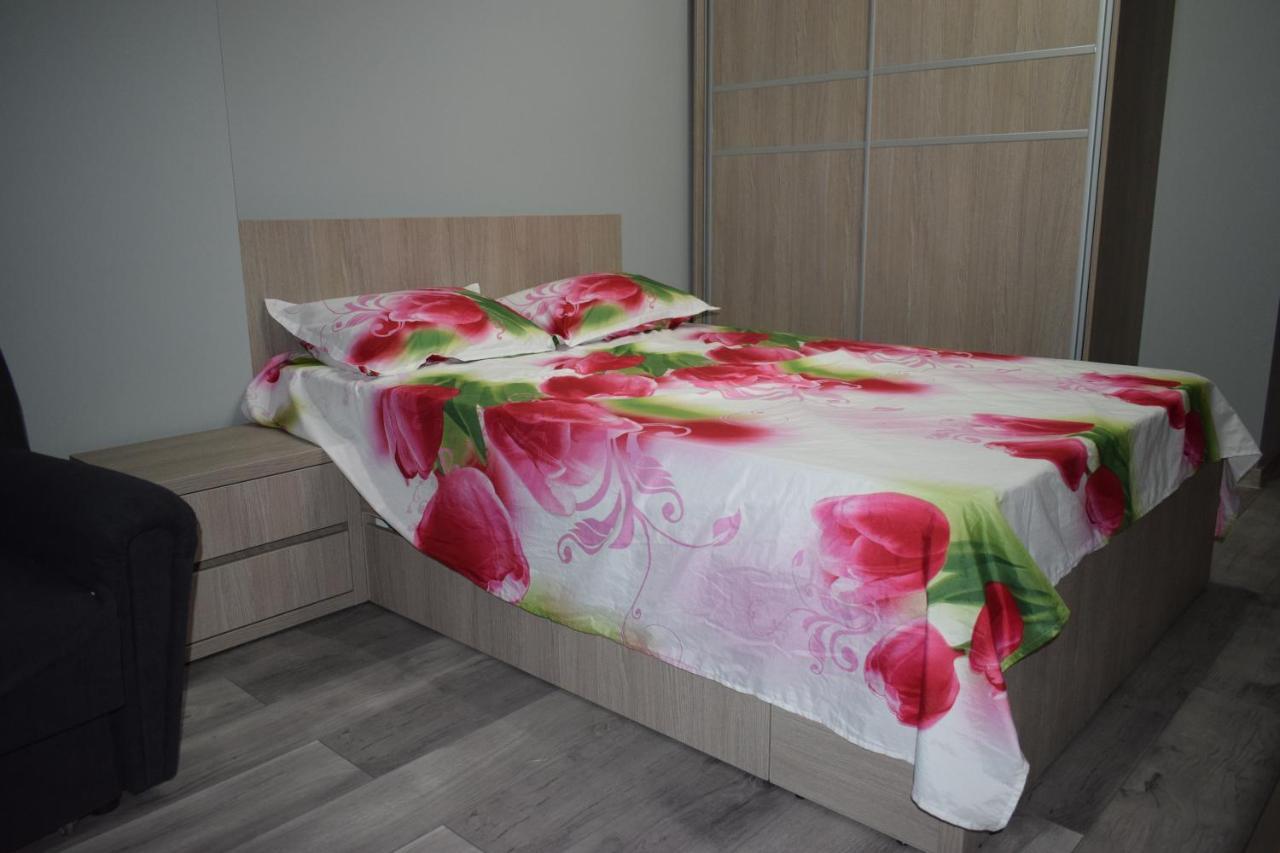 Apartament Parc Central Rhbm Baia Mare Exterior foto